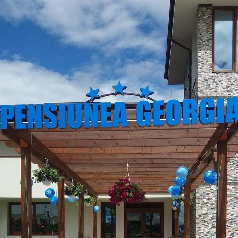 Pensiunea Georgia Lunguleţul Extérieur photo